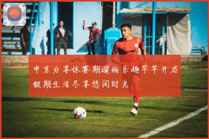 申京分享休赛期遛狗乐趣早早开启假期生活尽享悠闲时光