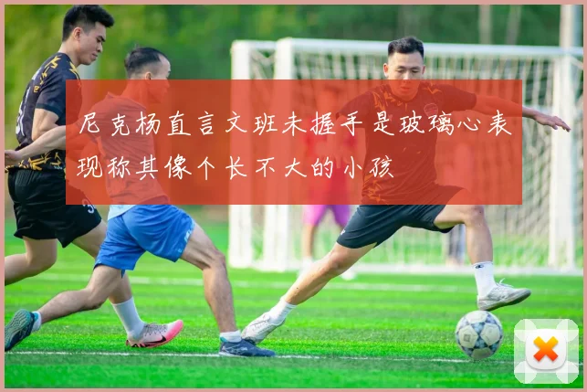 尼克杨直言文班未握手是玻璃心表现称其像个长不大的小孩