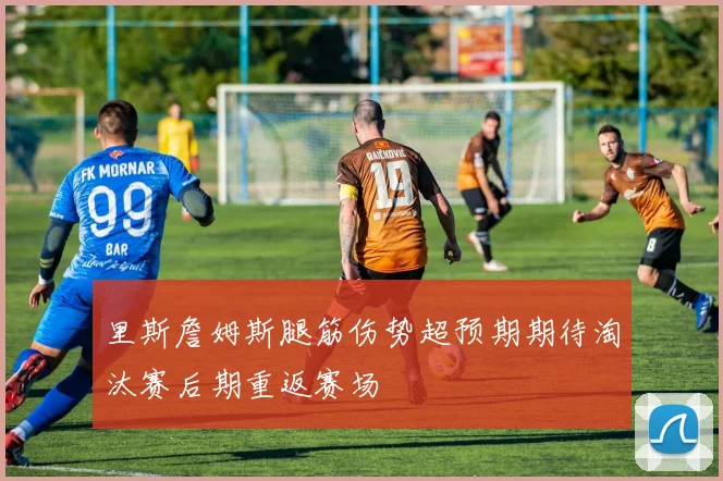 里斯詹姆斯腿筋伤势超预期期待淘汰赛后期重返赛场
